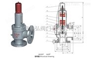 AH42F可燃性氣體安全閥