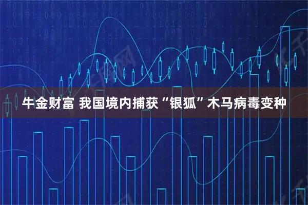 牛金财富 我国境内捕获“银狐”木马病毒变种