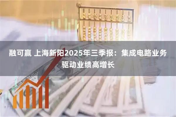 融可赢 上海新阳2025年三季报:集成电路业务驱动业绩高增长