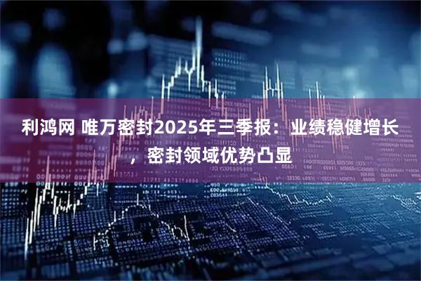 利鸿网 唯万密封2025年三季报:业绩稳健增长,密封领域优势凸显