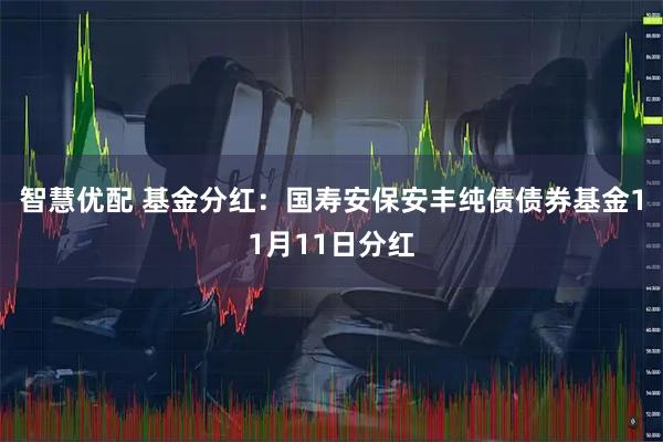 智慧优配 基金分红：国寿安保安丰纯债债券基金11月11日分红