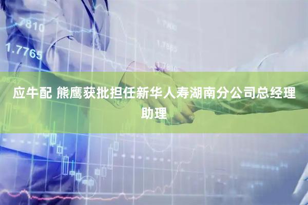 应牛配 熊鹰获批担任新华人寿湖南分公司总经理助理