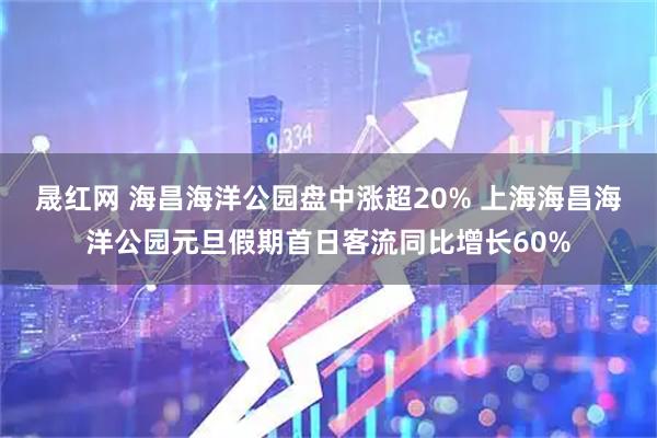 晟红网 海昌海洋公园盘中涨超20% 上海海昌海洋公园元旦假期首日客流同比增长60%