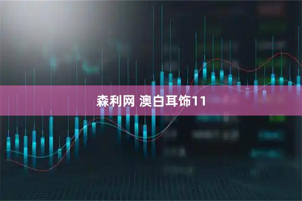 森利网 澳白耳饰11