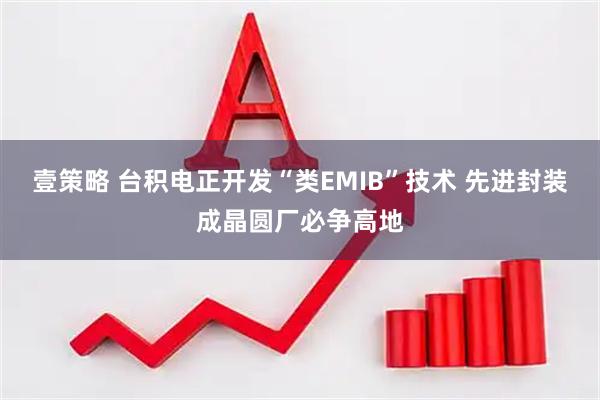 壹策略 台积电正开发“类EMIB”技术 先进封装成晶圆厂必争高地